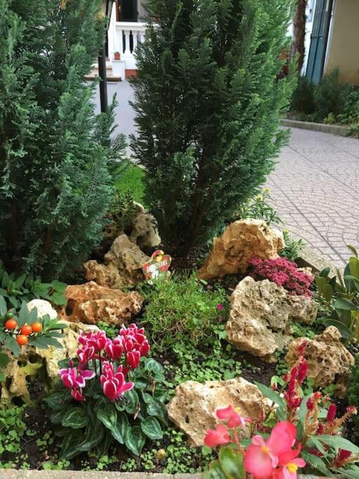 At Home 128 : Little Garden In The City Torino Esterno foto