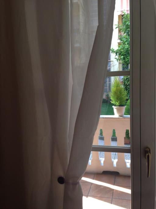 At Home 128 : Little Garden In The City Torino Esterno foto