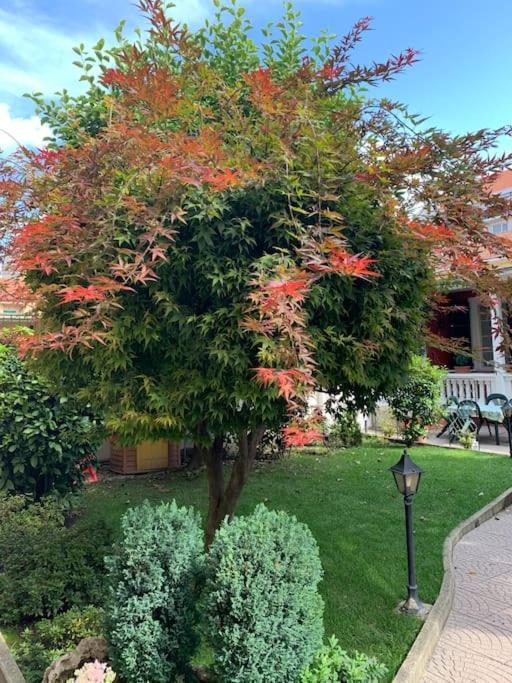 At Home 128 : Little Garden In The City Torino Esterno foto